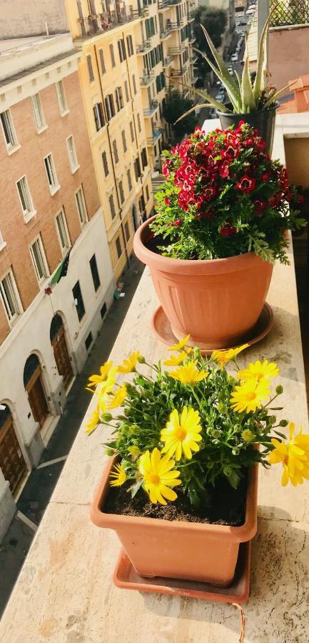 When In Rome Accommodation Guest House Экстерьер фото