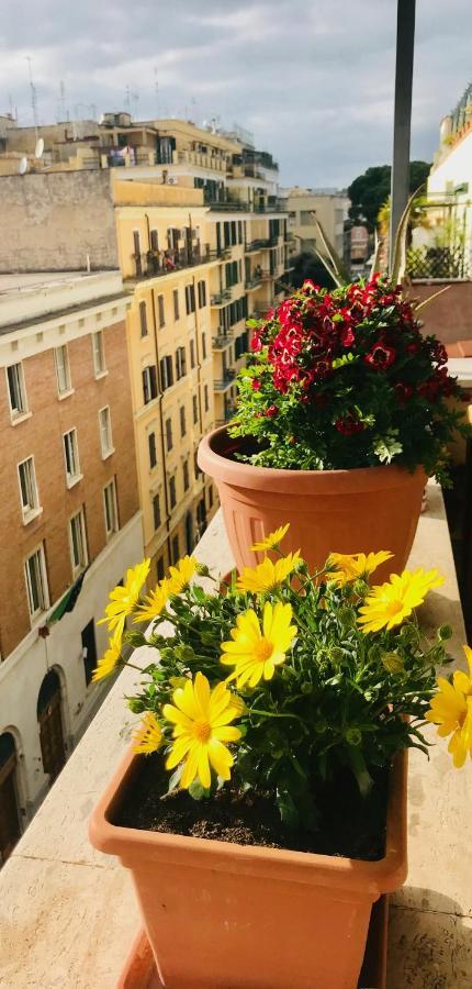 When In Rome Accommodation Guest House Экстерьер фото